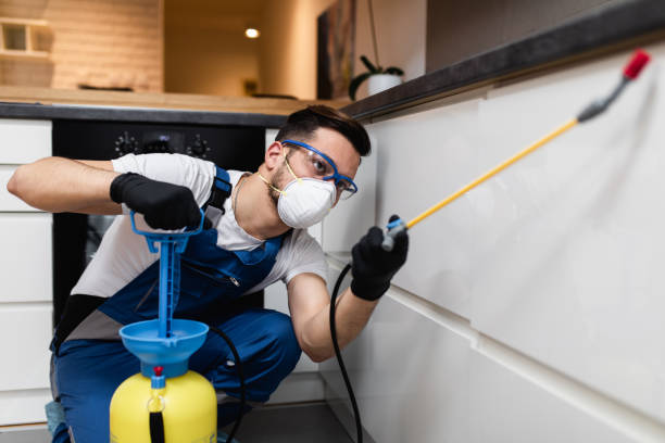 Best Pest Inspection Near Me  in Terre Du Lac, MO