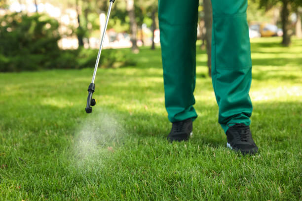 Professional Pest Control in Terre Du Lac, MO