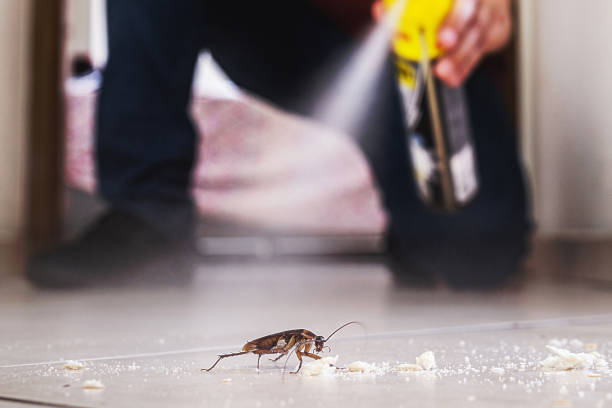 Best Best Pest Control Companies  in Terre Du Lac, MO